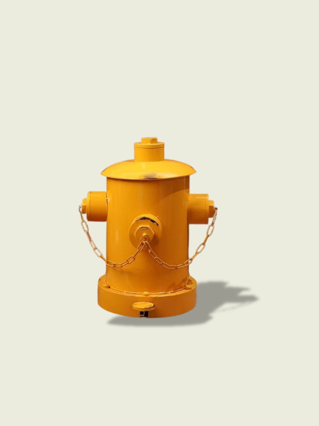 Poubelle Bouche d'Incendie